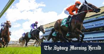 Canterbury races Wednesday tips and full preview