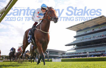 Canterbury Stakes Betting Tips & Strategy