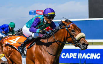 Cape Fillies Guineas Winner Retires