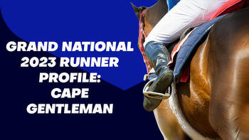 Cape Gentleman Grand National Odds & Betting Profile