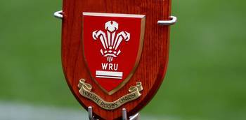 Cardiff director calls for Welsh Rugby Union board to resign