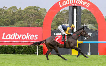 Cardinal chases back-to-back Sandown wins