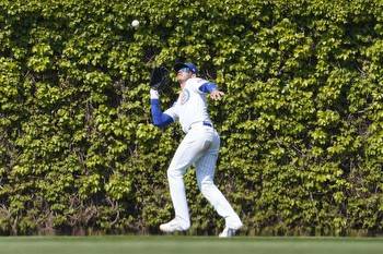 Cardinals vs Cubs Prediction