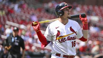 Cardinals vs. Rays prediction and odds for Tuesday, Aug. 8 (Bet St. Louis as underdog