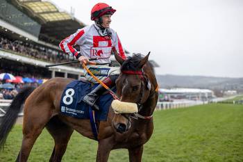 Carlisle could be first step on road to the Gold Cup for Cheltenham Festival hero The Real Whacker