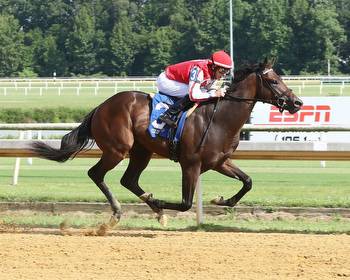 Carmelina, Going Up score in Colonial Downs stakes * The Racing Biz
