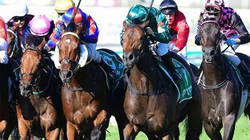 Carnival Capers: Why the locals can win Stradbroke