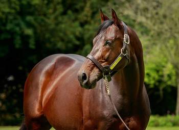 Castle Way Makes Stakes Breakthrough At Newmarket