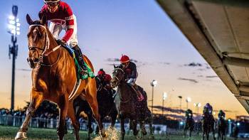 Catching My Eye: LA-bred extraordinaires from Fair Grounds, Jan. 5-8