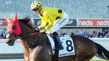 Caulfield Cup contenders Without A Fight, Nonconformist show signs of lameness
