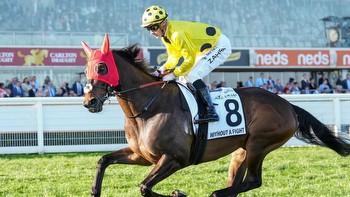 Caulfield Cup contenders Without A Fight, Nonconformist show signs of lameness