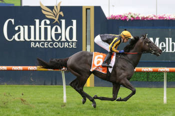 Caulfield Cup Likely Field