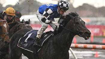 Caulfield Cup preview: Everything you need to know about every horse ahead of the time-honoured Group 1 race