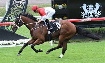 Caulfield Cup winners little brother heads odds in the King Of The Mountain