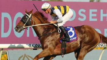 Cepheus out to score Doncaster Mile upset