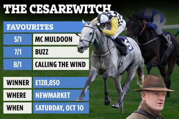 Cesarewitch Handicap: Runners and riders, odds and FREE BETS for one of the year's BIG betting heats