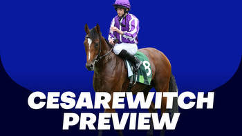 Cesarewitch Preview: Big priced runner can spring a surprise