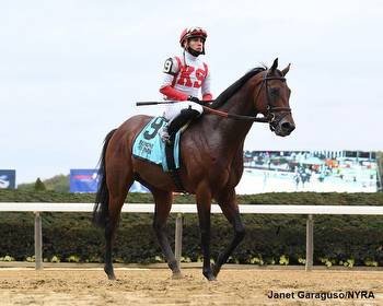 Chad Brown Holds Strong Hand In Del Mar's Hollywood Derby, Seabiscuit Handicap