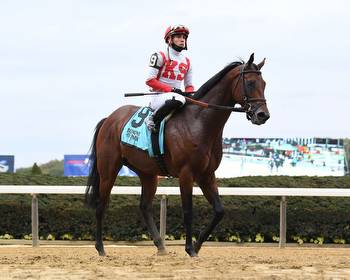 Chad Brown Trio Lead the Charge in G3 Knickerbocker