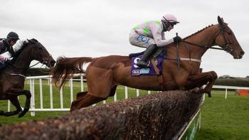 Champ Kiely the poster boy for Tattersalls Ireland and Ennel Bloodstock