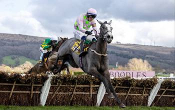 Champion Four Year Old Hurdle tips & runners guide to Punchestown 5.00