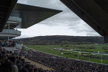 Champion Hurdle 2023 Ante-Post Tips: Street the 50/1 each-way value in the Grade 1 Tuesday showpiece