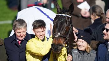 Champion Hurdle route "most likely" for Marine Nationale