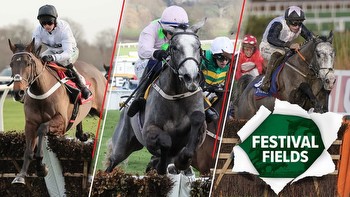 Champion Hurdle, Stayers' Hurdle and Mares' Hurdle: which star names have been entered?