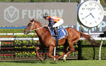 Champion sprinter still odds on for The Everest