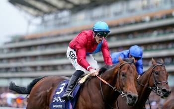 Champion Stakes tips and runners guide to Ascot 3.45 on Saturday