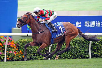 Champions & Chater Cup 2023 Field, Tips, Betting Odds, Results