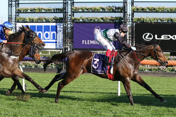 Champions Day at Flemington Tips, Race Previews and Selections
