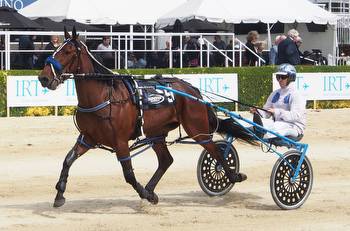 Chances for Purdon/Phelan in three year old features