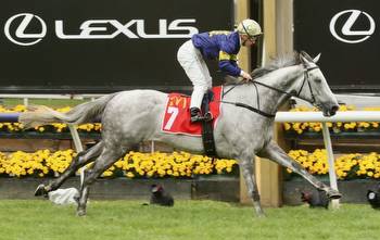 Change of plans for Melbourne Cup favourite