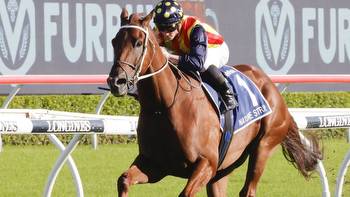 Change of plans for Nature Strip en route to TJ Smith Stakes