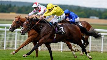 Charlie Fellowes looking towards Dewhurst, after ground dashed Marbaan hopes