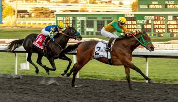 Chase the Chaos Flies in El Camino Real Derby