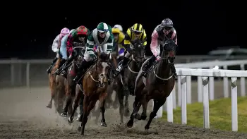 Chelmsford racing tips: Best bets for Sunday, January 21