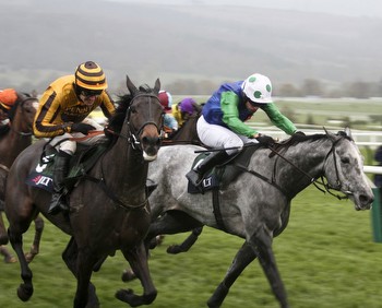 Cheltenham Day Two Signup Offers And Free Bets: Champion Chase Betting Offers