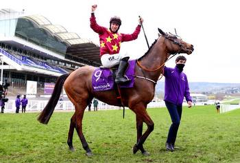 Cheltenham Festival 2022: Gold Cup entries, odds, trends and free bets
