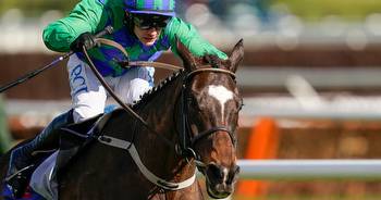 Cheltenham Festival 2022 tips: Champion Hurdle runner guide and 1-2-3 prediction