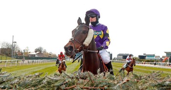 Cheltenham Festival 2024 tips: Five dark horses to follow and best bets at bigger odds