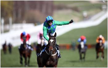 Cheltenham Festival: Act of lunacy to bet on Turners' Chase