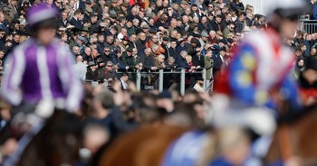 Cheltenham Festival betting tips on day one including Champions Hurdle
