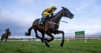 Cheltenham Festival betting tips: Robbie Power names the two Willie Mullins horses that are “Banker Material"