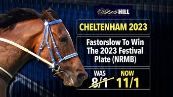 Cheltenham Festival boost: 11/1 Fastorslow to win 2023 Festival Plate (Was 8/1) with William Hill