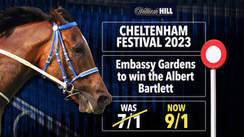 Cheltenham Festival: Get Embassy Gardens to win the Albert Bartlett at huge 9/1 with William Hill