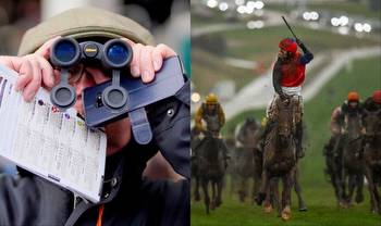 Cheltenham Festival: How to read a racecard and pick winners ahead of racing's big meeting