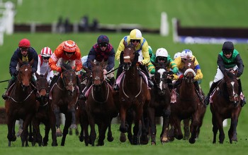 Cheltenham Festival tips: Experts on best bets and 12 horses to watch for Day 2 on Wednesday