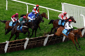 Cheltenham Festival tips: Experts on best bets and 14 horses to watch today